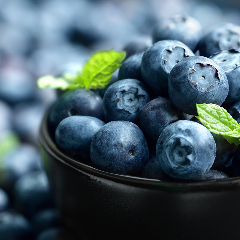Blueberries Driscoll 1 Clamshell
